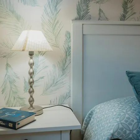 Rodrigo Apartamento Palencia